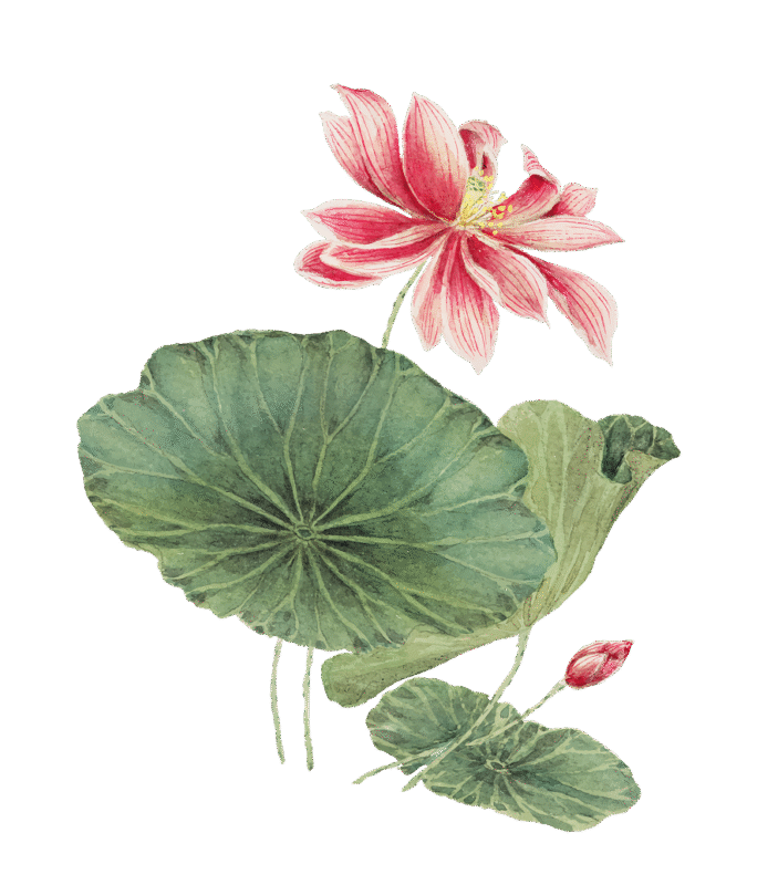 Trang chủ 28 lotus-section-triet-ly-nuoc-hoa