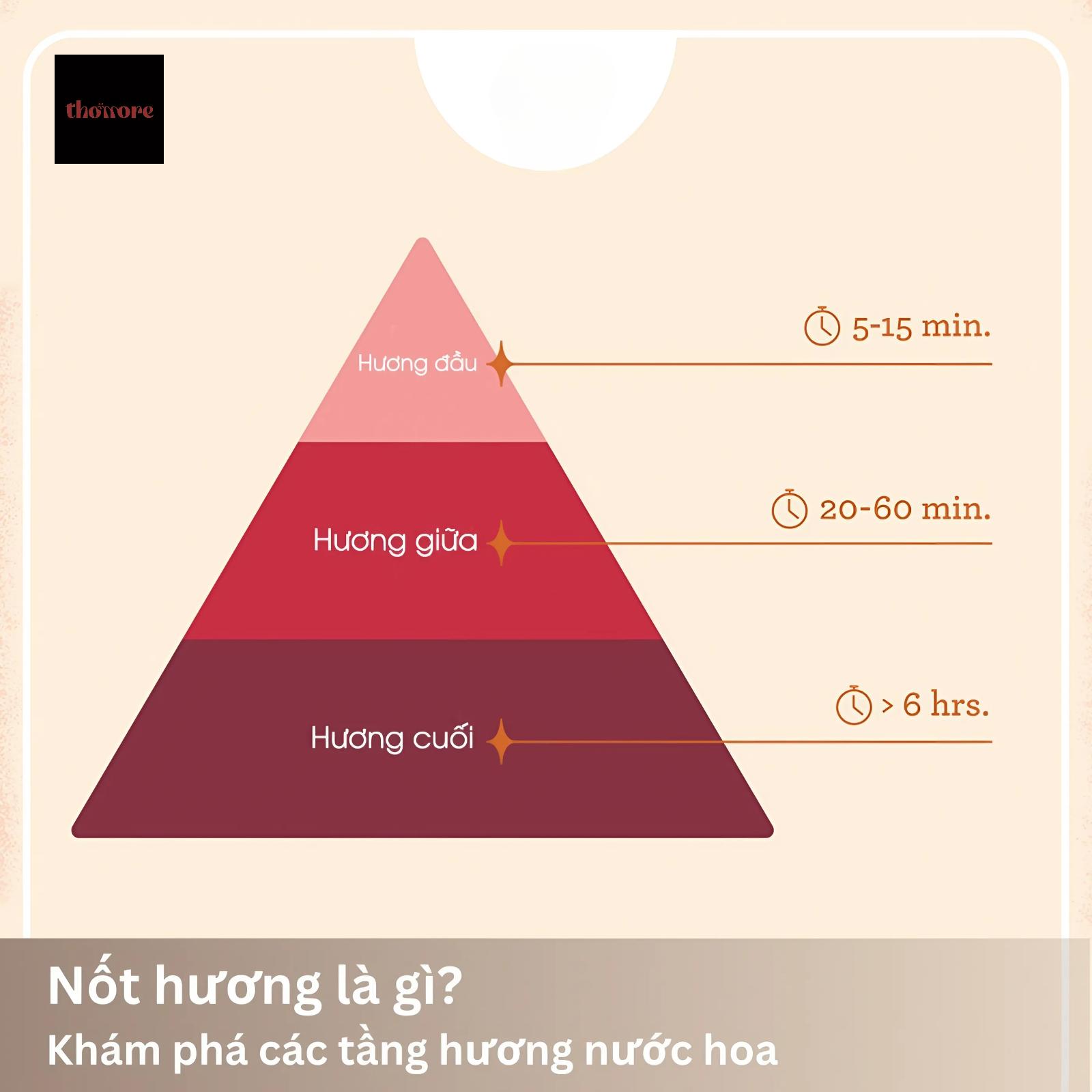Hương Đầu Hương Giữa Hương Cuối Là Gì? Tìm Hiểu 3 Tầng Hương Trong Nước Hoa 2 Giới thiệu sơ lược thông tin về nốt hương trong nước hoa