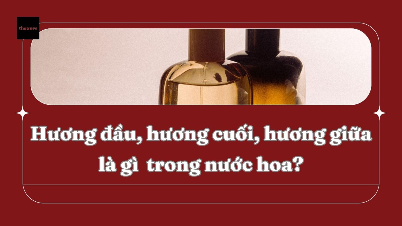 Hương Đầu Hương Giữa Hương Cuối Là Gì? Tìm Hiểu 3 Tầng Hương Trong Nước Hoa 1 Hương Đầu Hương Giữa Hương Cuối Là Gì? Tìm Hiểu 3 Tầng Hương Trong Nước Hoa