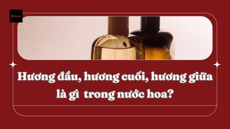Hương Đầu Hương Giữa Hương Cuối Là Gì? Tìm Hiểu 3 Tầng Hương Trong Nước Hoa 5 Hương Đầu Hương Giữa Hương Cuối Là Gì? Tìm Hiểu 3 Tầng Hương Trong Nước Hoa