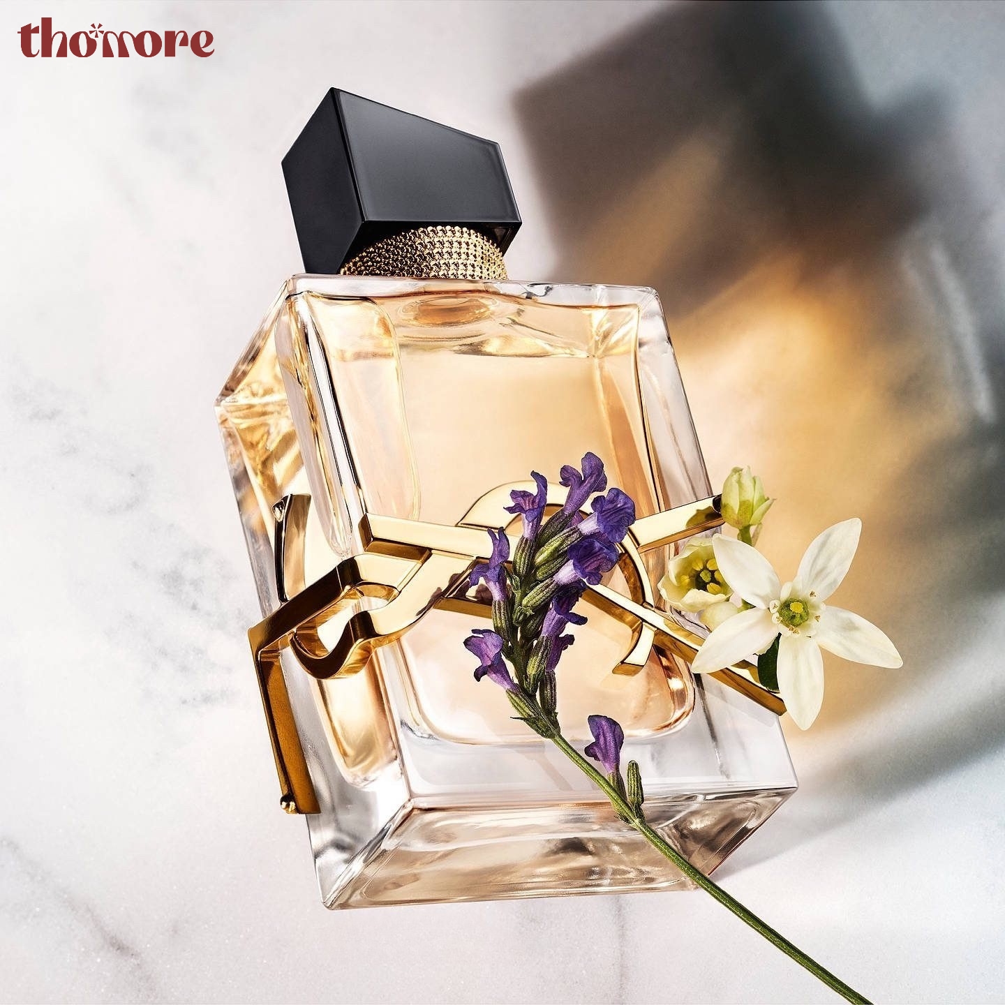 Dòng nước hoa cao cấp từ YSL