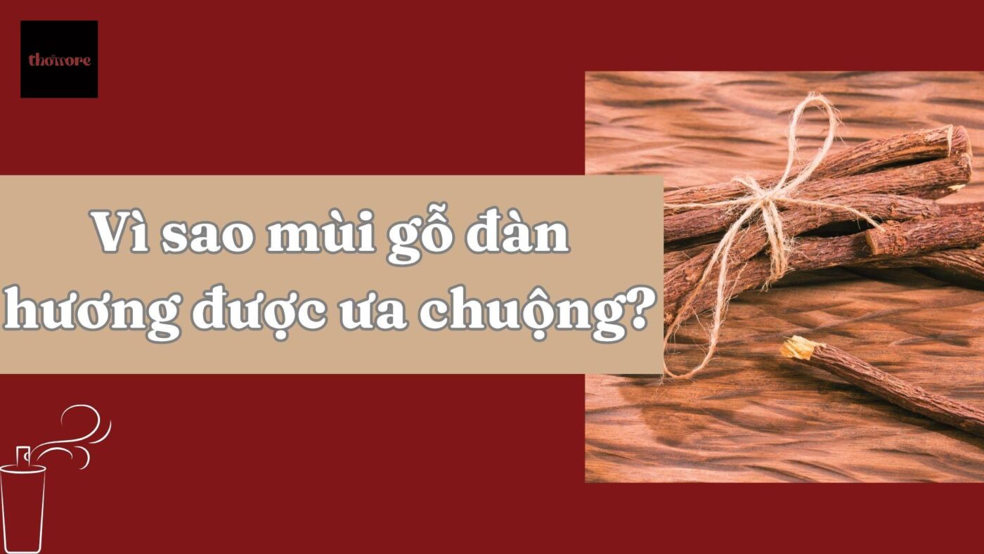 Vì Sao Mùi Gỗ Đàn Hương Được Ưa Chuộng Trong Nước Hoa Cao Cấp? 7 Khám phá thông tin chi tiết về mùi gỗ đàn hương