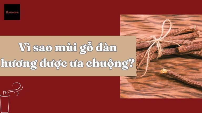 Vì Sao Mùi Gỗ Đàn Hương Được Ưa Chuộng Trong Nước Hoa Cao Cấp? 5 Khám phá thông tin chi tiết về mùi gỗ đàn hương