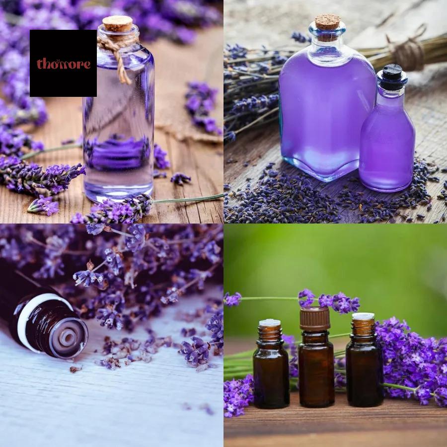 Bí Quyết Chọn Nước Hoa Nữ Có Mùi Ngọt Chuẩn Gu Và Bền Mùi 2 Một số đặc điểm của nước hoa nữ mùi ngọt