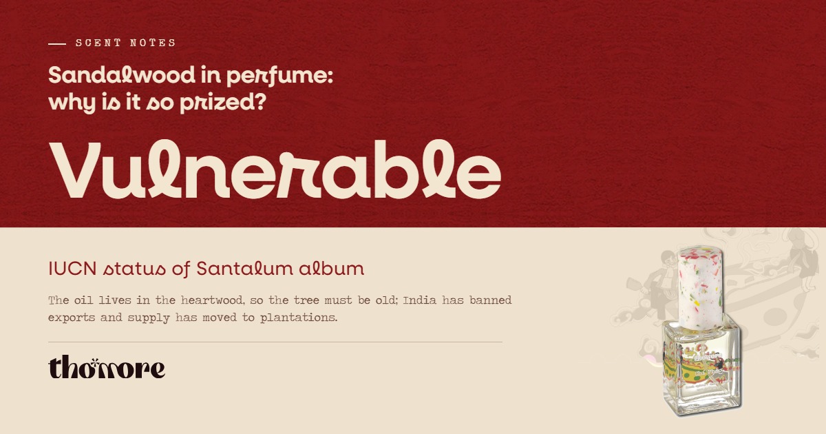 Sandalwood in Perfume: Scent, Origin and Why It's So Prized 1 Thomore card: sandalwood in perfume, why it is so prized