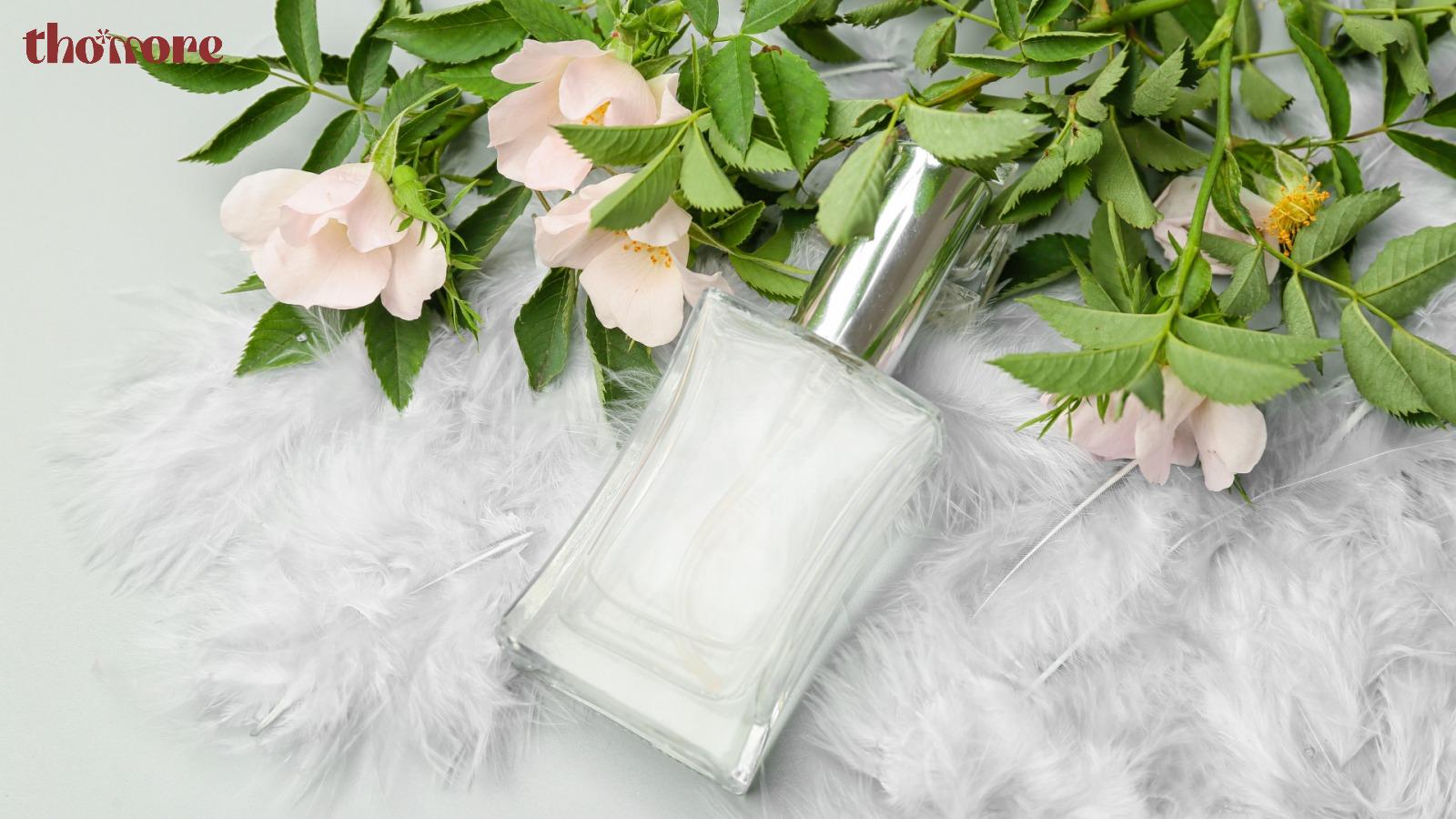 Nên Mua Nước Hoa Hãng Nào? Gợi Ý Từ Chuyên Gia Nước Hoa 5 Cách chọn nước hoa chính hãng phù hợp