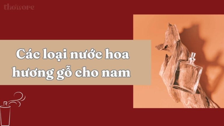 Các Loại Nước Hoa Hương Gỗ Cho Nam – Sang Trọng, Nam Tính Và Cuốn Hút 5 Khám phá các loại nước hoa hương gỗ cho nam đáng mua nhất
