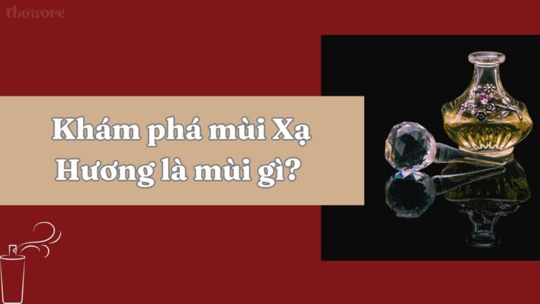 Mùi Xạ Hương Là Mùi Gì? Vì Sao Được Ưa Chuộng Trong Nước Hoa? 8 Khám phá thông tin tổng quan mùi xạ hương là mùi gì