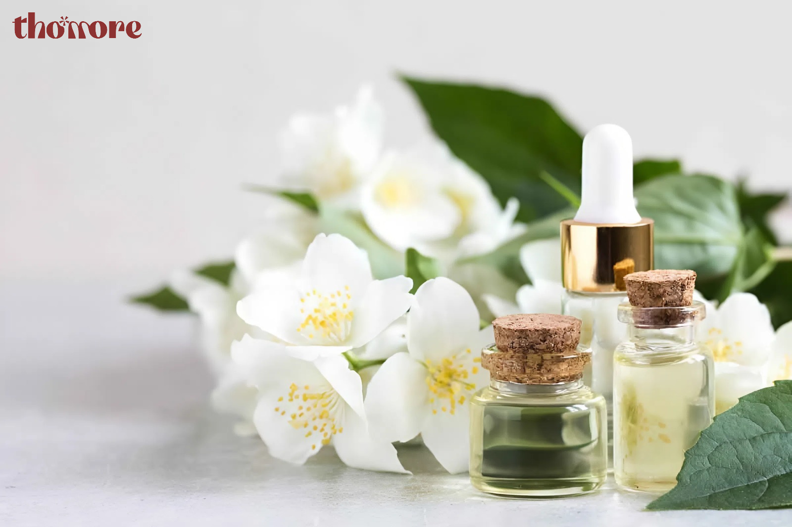 Nước Hoa Hương Hoa Nhài – Mùi Hương Tinh Tế, Quyến Rũ Khiến Ai Cũng Say Mê 3 Cách lựa chọn nước hoa hương hoa nhài phù hợp với từng đối tượng