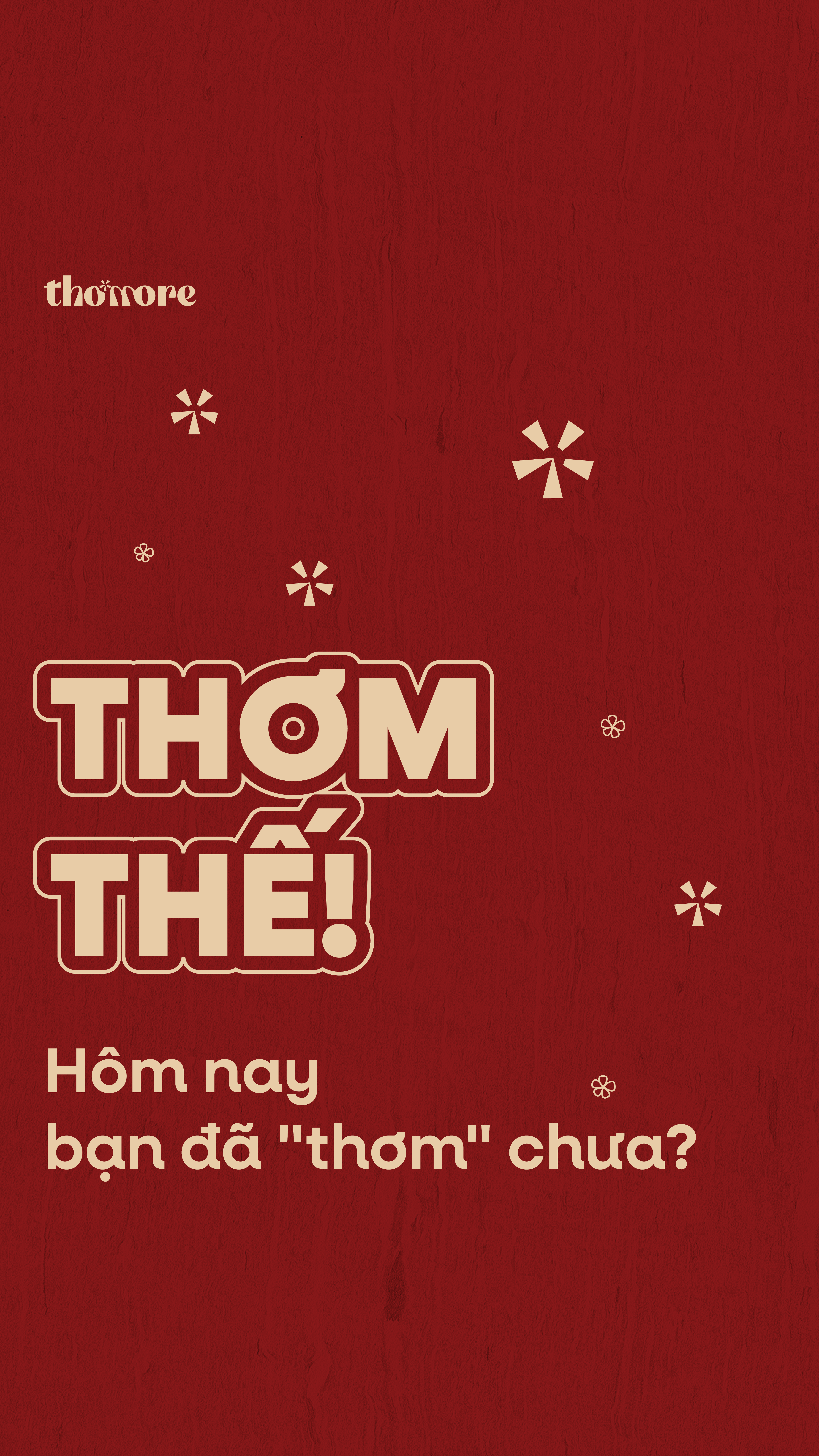 CHUONG TRINH MOI TOANH CUA NHA THOM