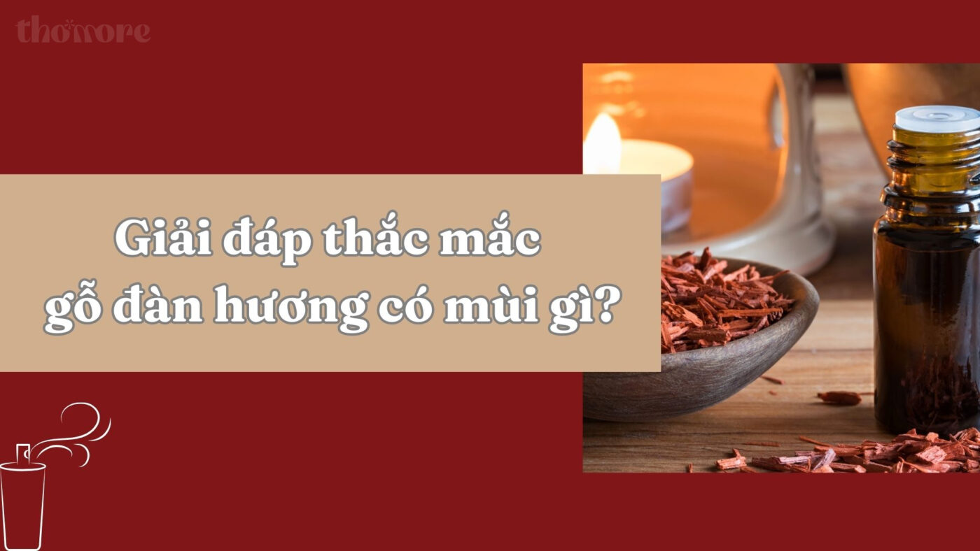 Giai dap thac mac go dan huong co mui gi