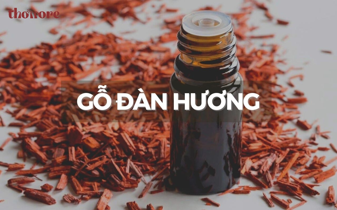 Thông tin tổng quan về gỗ đàn hương