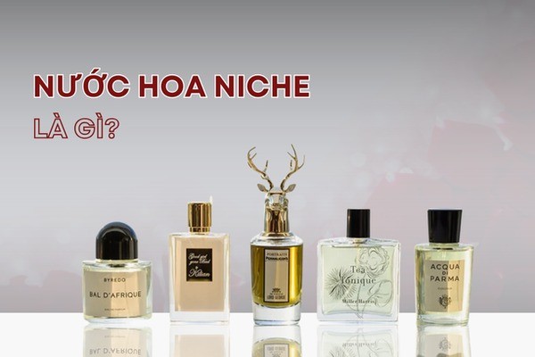 Thông tin tổng quan về nước hoa Niche