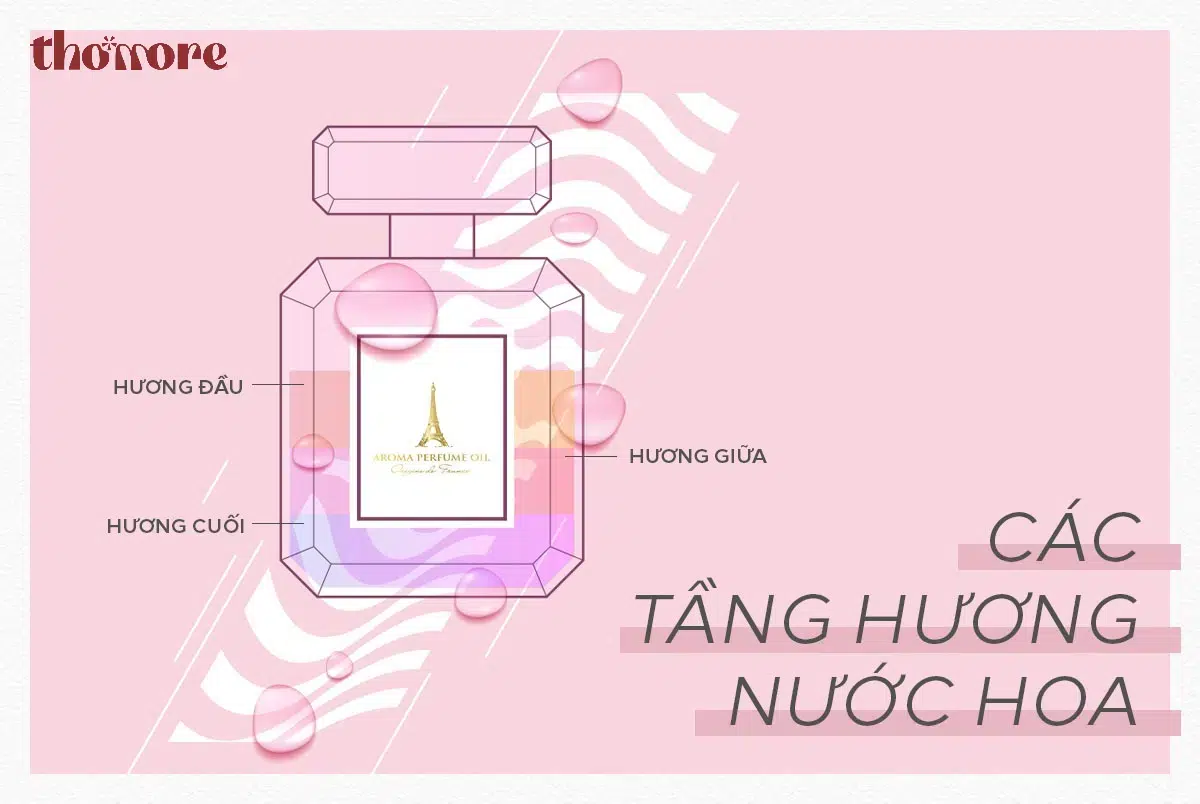 Giới thiệu chung về các tầng hương của nước hoa