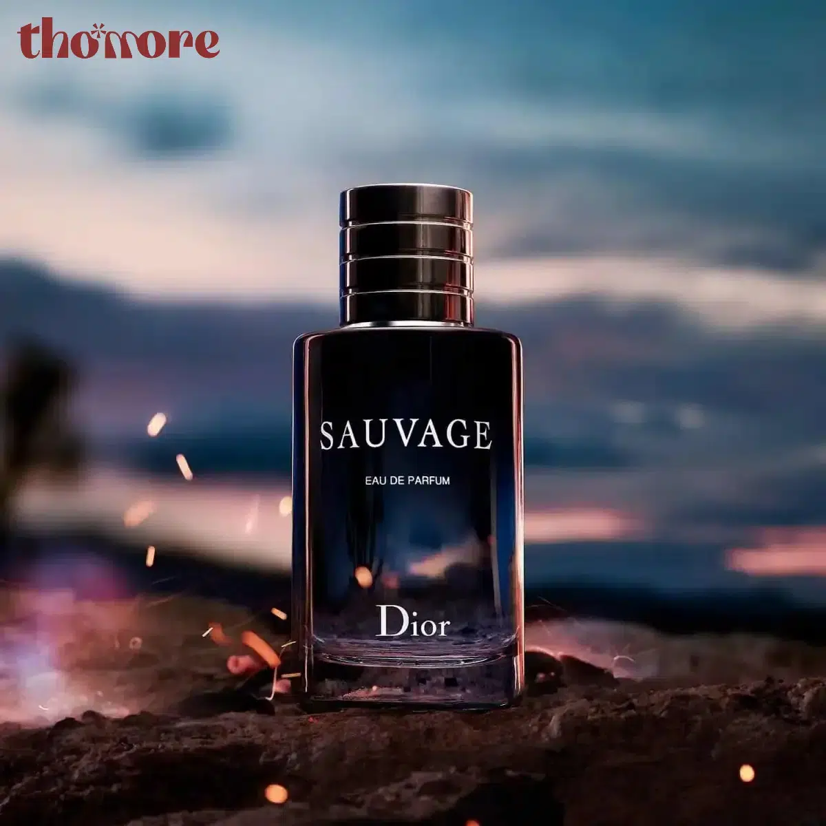 Các Loại Dầu Thơm Nam Được Ưa Chuộng Nhất – Khám Phá Ngay Tại Thomore 6 Dầu thơm nam Dior Sauvage Eau De Parfum