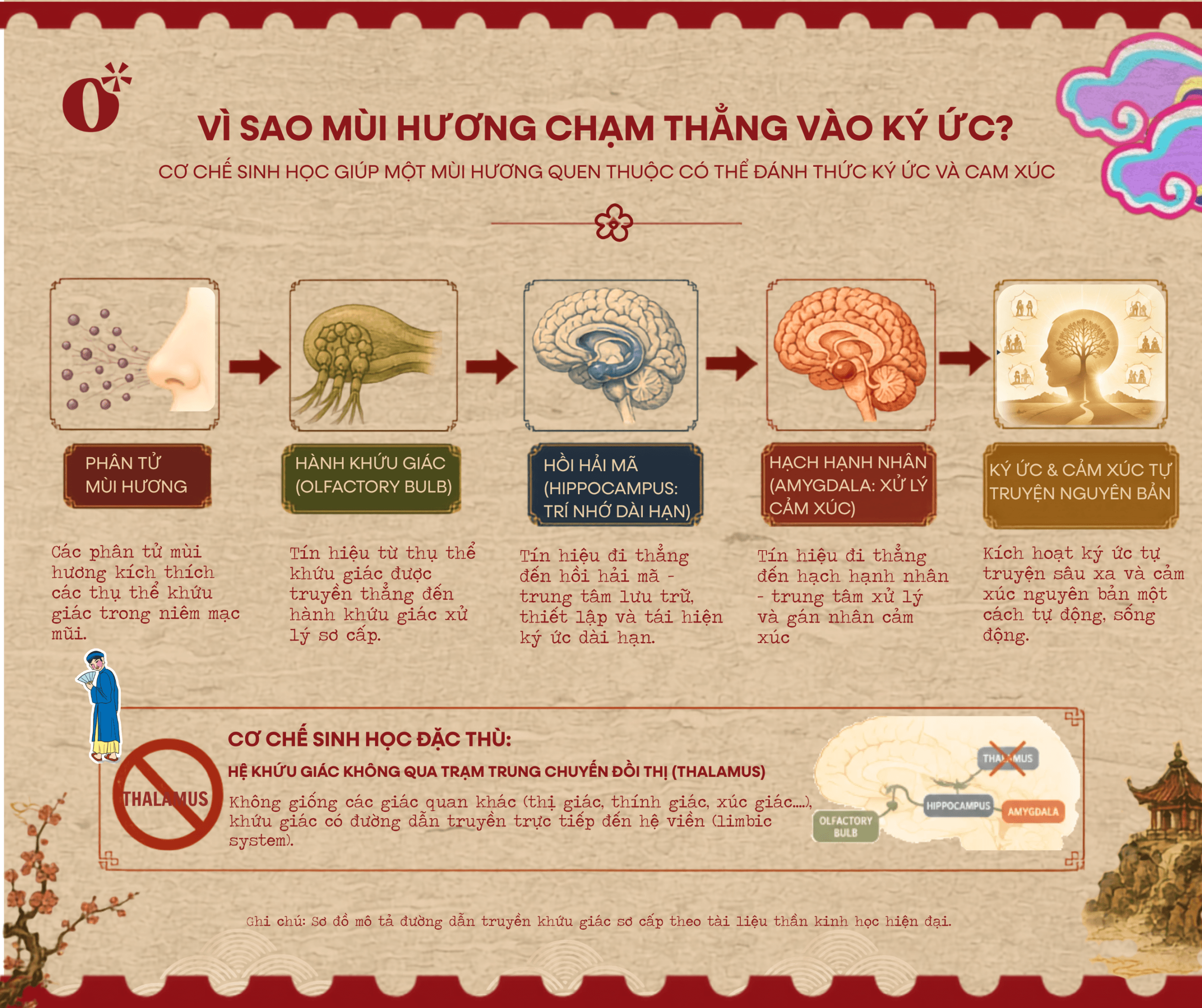 Vì sao mùi hương chạm thẳng vào ký ức