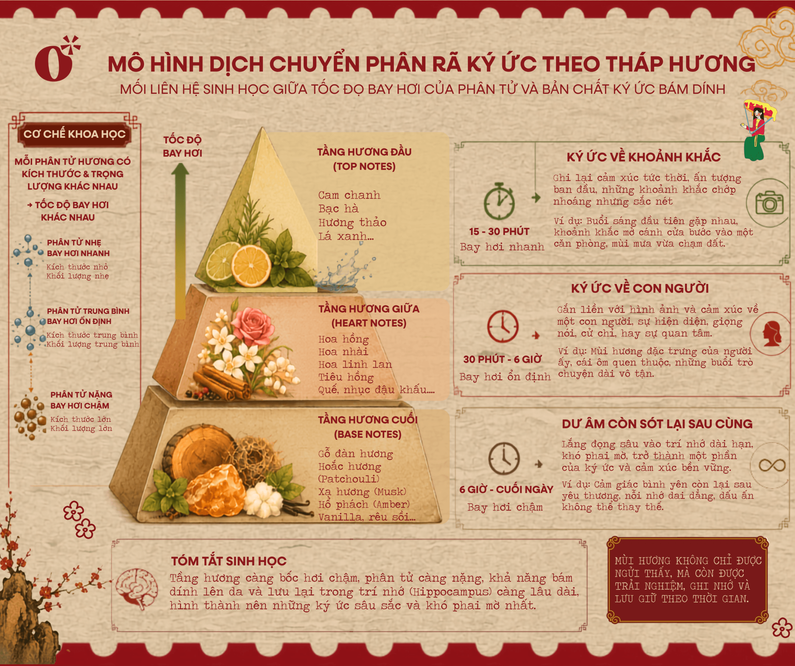 Vì sao một mùi hương cơ thể đưa bạn trở về quá khứ chỉ trong vài giây