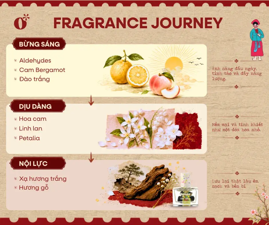 Nước hoa Tắt Đèn có mùi gì? Mùi hương của lối thoát trong đêm tối 5 Các Tầng Hương Tạo Nên Khí Chất Tắt Đèn